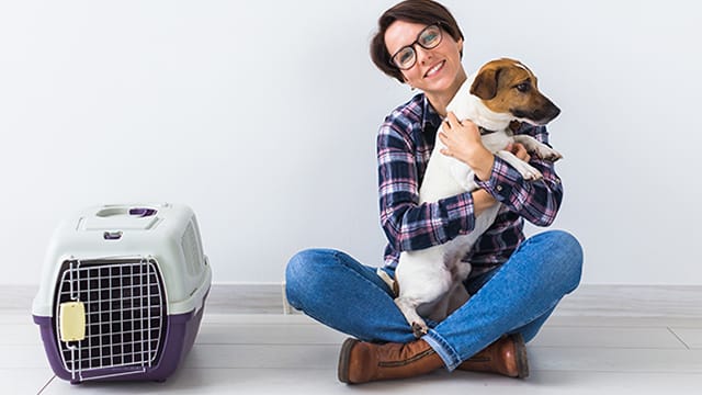 Arab sas air cargo riyadh features 15