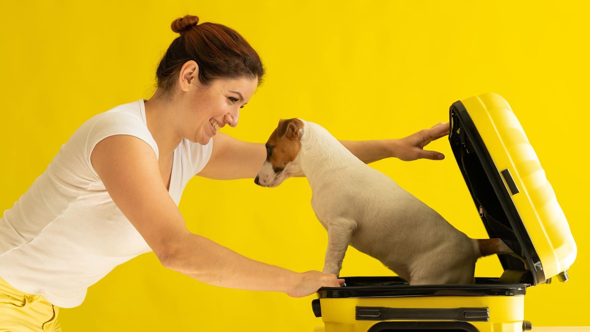 Arab sas air cargo riyadh hero pet relocation