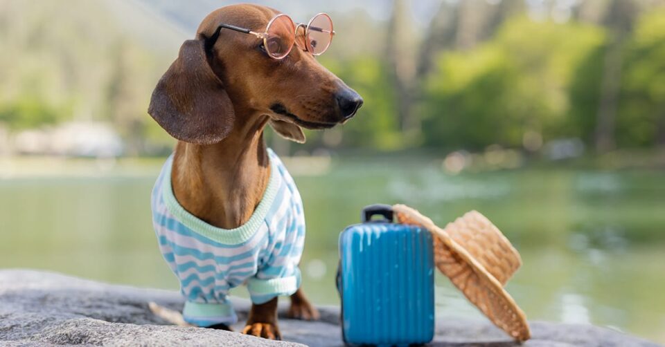 Arab sas air cargo riyadh post featured image 13