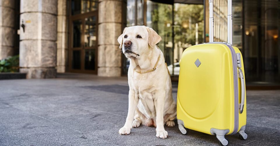 Arab sas air cargo riyadh post featured image 14